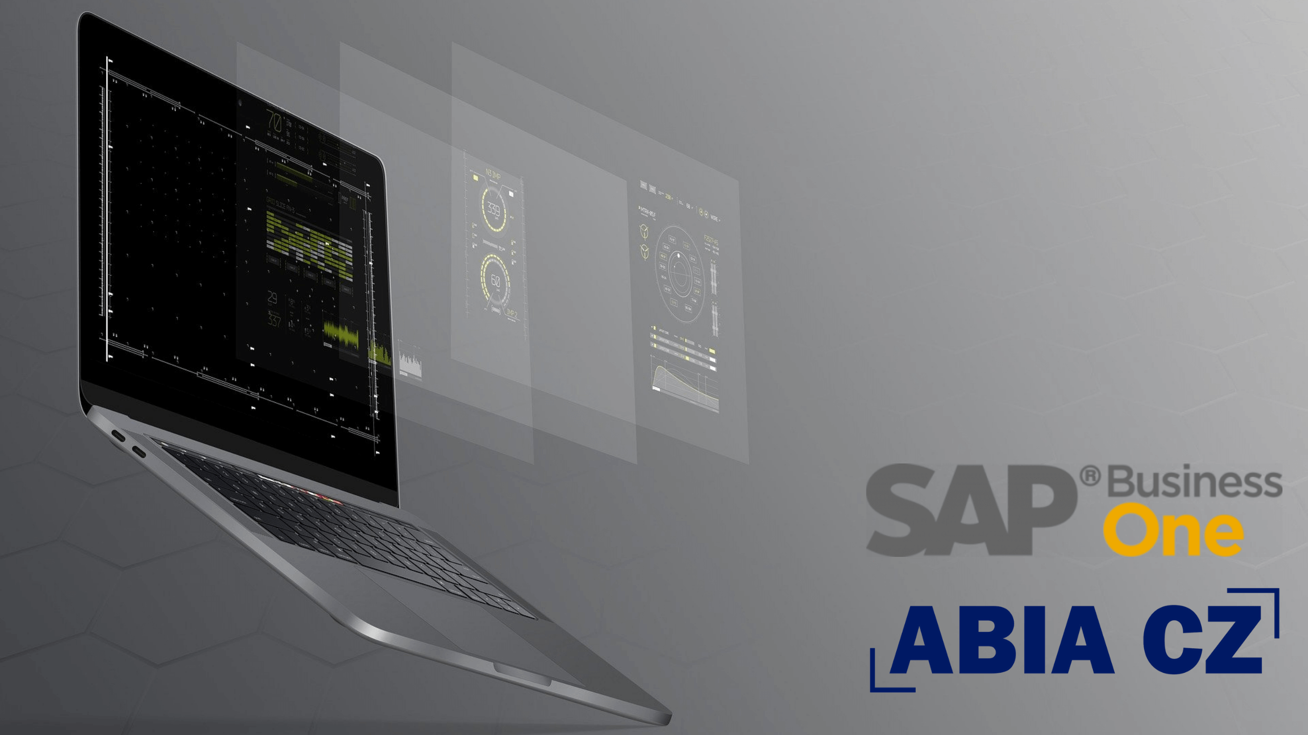 SAP Business One